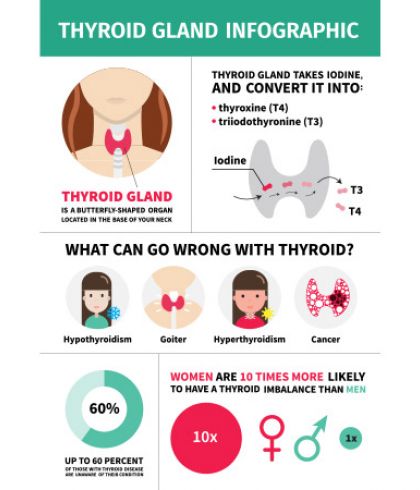 What are the common thyroid disorders? | Dr Batra’s™ Homeopathy in Dubai